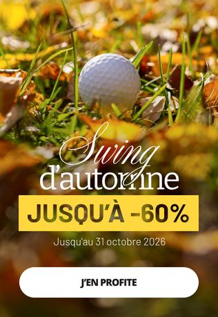 SwingAutomne