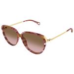 Chloé Lunettes de soleil CH0406S 002 Havana Présentation
