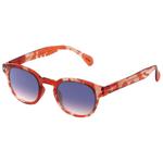 Izipizi Sonnenbrille Sun #C Wild Hooves Purple Shading Polarized Präsentation