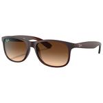 Ray Ban Sonnenbrille RB4202 Andy Mat Brown Gradien Brown Präsentation