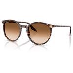 Ray Ban Sonnenbrille RB2204 Polished Havana Tortoise Yellow Gradient Brown Clear Präsentation