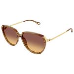 Chloé Lunettes de soleil CH0406S 004 Havana Présentation