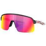 Oakley Sonnenbrille Sutro Lite Sweep Troy Lee Designs Series Matte Black Prizm Road Präsentation