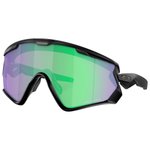 Oakley Wind Jacket 2.0 Matte Black Prizm Road Jade 