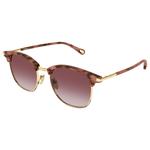 Chloé Sonnenbrille CH0384S 004 Gold Tortoise Präsentation
