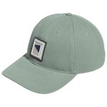 adidas BTC GFX Hat Silver Green 