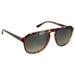 Moken Vision Big Dude Tortoise Green Cat.3 Gradient Polarized 