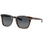 Costa Del Mar Sonnenbrille Sullivan Salt March Gray Gradient Polarized Präsentation
