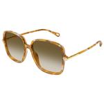 Chloé Lunettes de soleil CH0396S 003 Havana Présentation