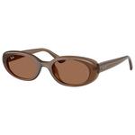Ray Ban Lunettes de soleil RB4441D Matte Brown Opaline Dark Brown Présentation
