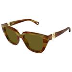 Chloé Lunettes de soleil CH0410S 004 Havana Présentation