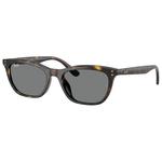 Ray Ban Sonnenbrille RB4474D Polished Havana Dark Grey Präsentation