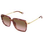 Chloé Lunettes de soleil CH0405S 002 Havana Présentation
