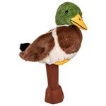 Daphne Schlägerhaube Couvre-Bois Peluche Mallard Präsentation