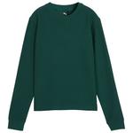 Puma Golf Pullover Boulder Crew Dark Myrtle Präsentation