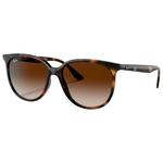Ray Ban Sonnenbrille RB4378 Polished Havana Gradient Brown Präsentation