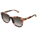 Chloé Sonnenbrille CH0375SK 002 Havana Präsentation