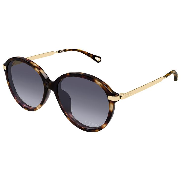 Chloé Sonnenbrille CH0358SK Asian Fit 002 Havana Präsentation