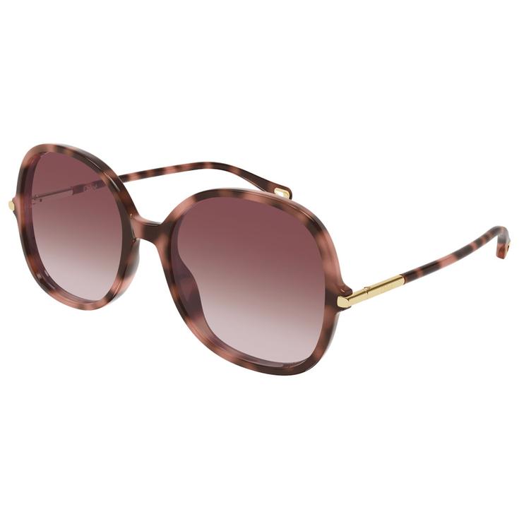 Chloé Lunettes de soleil CH0383S 004 Havana Présentation