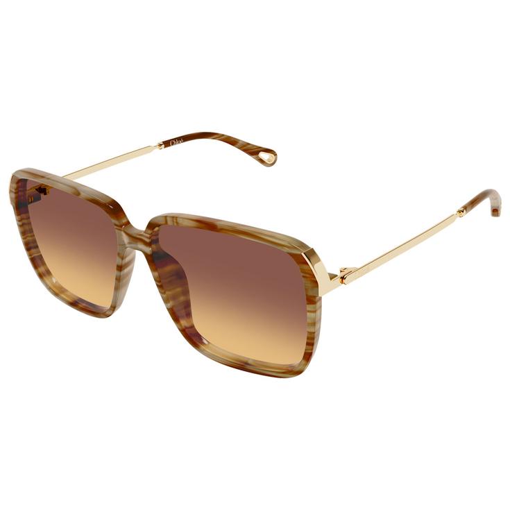 Chloé Sonnenbrille CH0405S 004 Havana Präsentation
