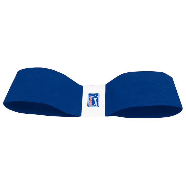 PGA Tour Swing Trainer 