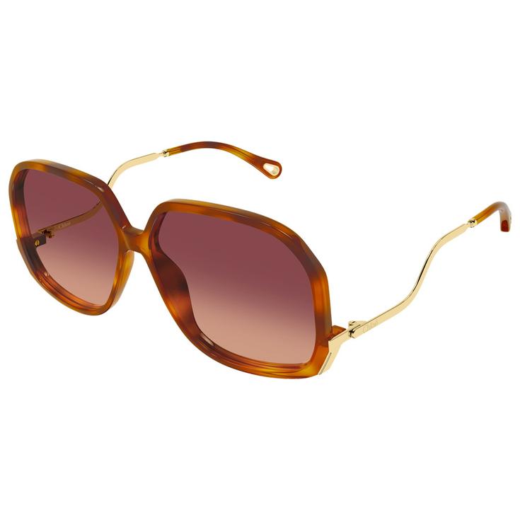 Chloé Sonnenbrille CH0404S 001 Havana Präsentation