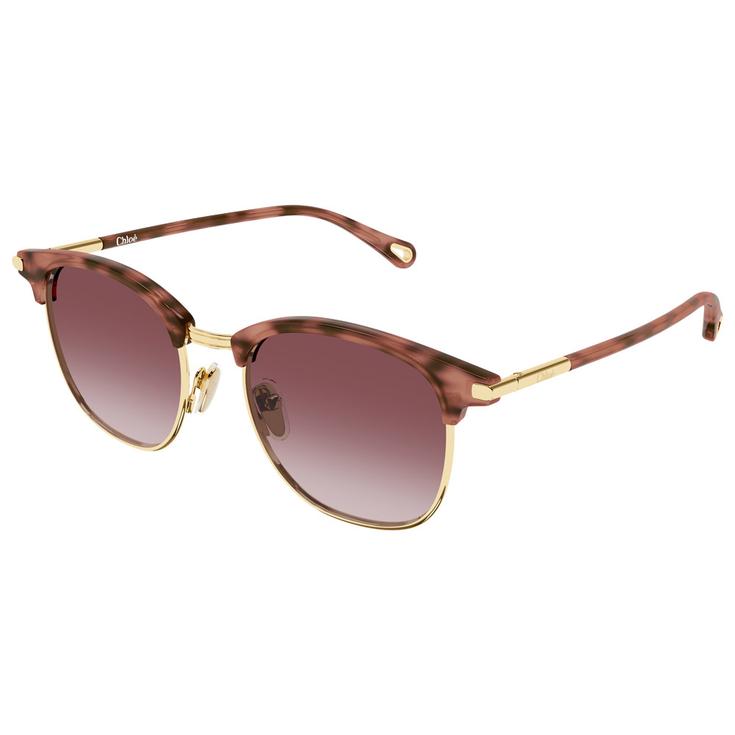Chloé Lunettes de soleil CH0384S 004 Gold Tortoise Présentation
