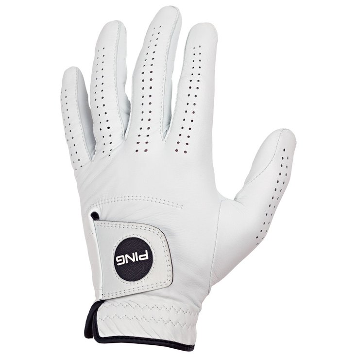 Ping Klassischer Lederhandschuh (einzeln) Tour Glove 251 White Präsentation