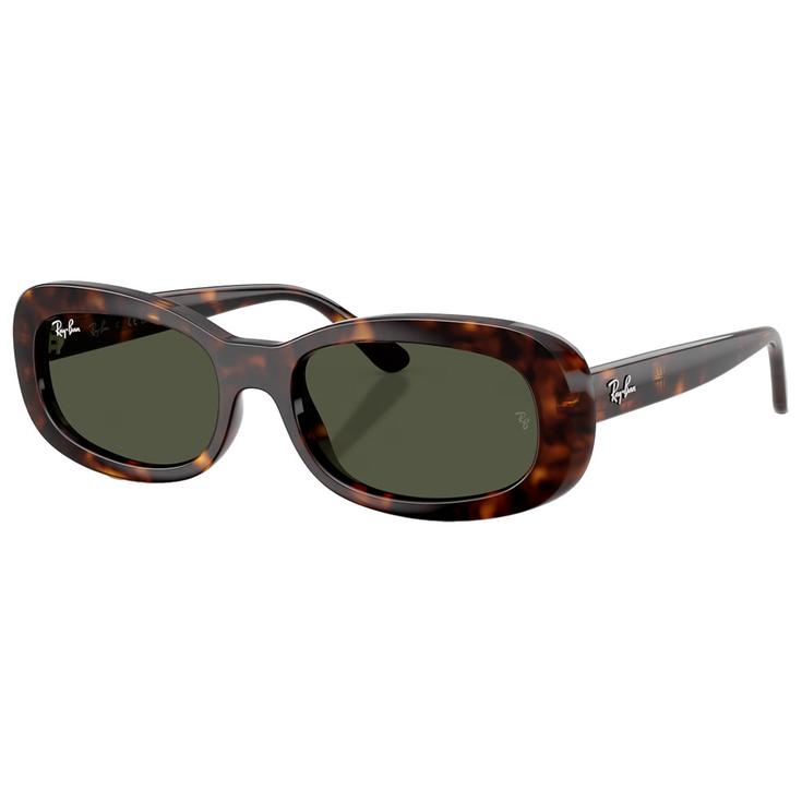 Ray Ban Sonnenbrille RB2221 Polished Havana G-15 Green Präsentation