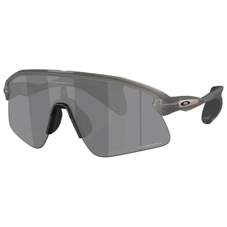 Oakley Sonnenbrille Stunt Devil Grey Smoke Prizm Black Präsentation