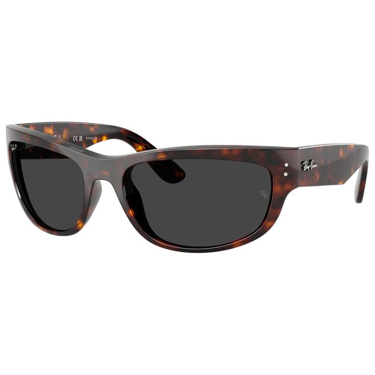Ray Ban Sonnenbrille RB2289 Mega Balorama Polished Havana Polar Black Präsentation