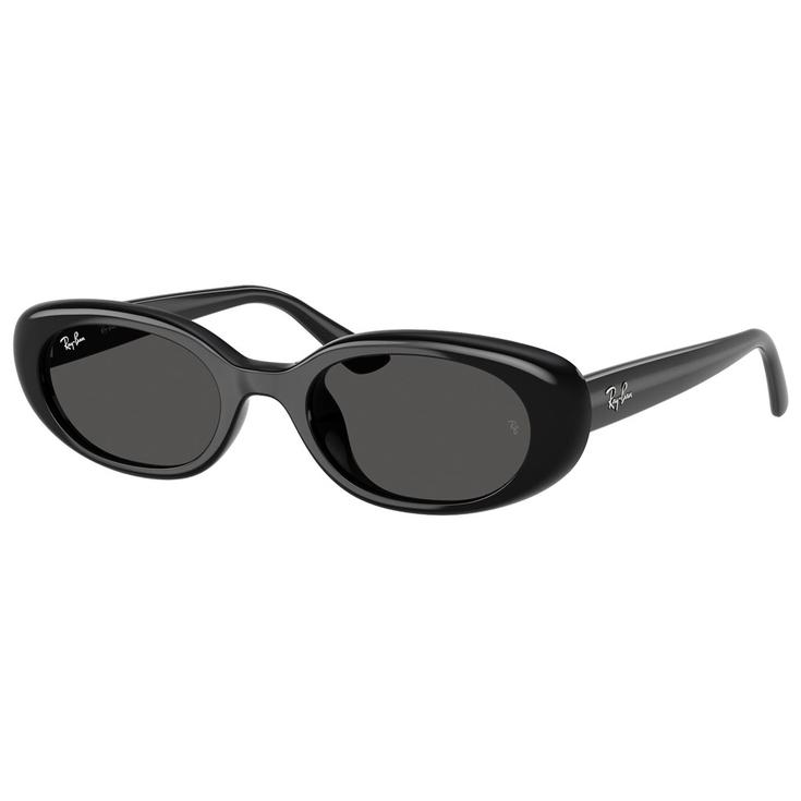 Ray Ban Sonnenbrille RB4441D Polished Black Dark Grey Präsentation