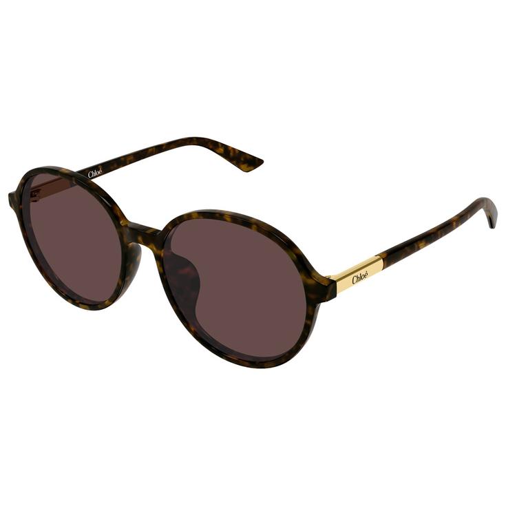 Chloé Lunettes de soleil CH0365SK 002 Havana Présentation