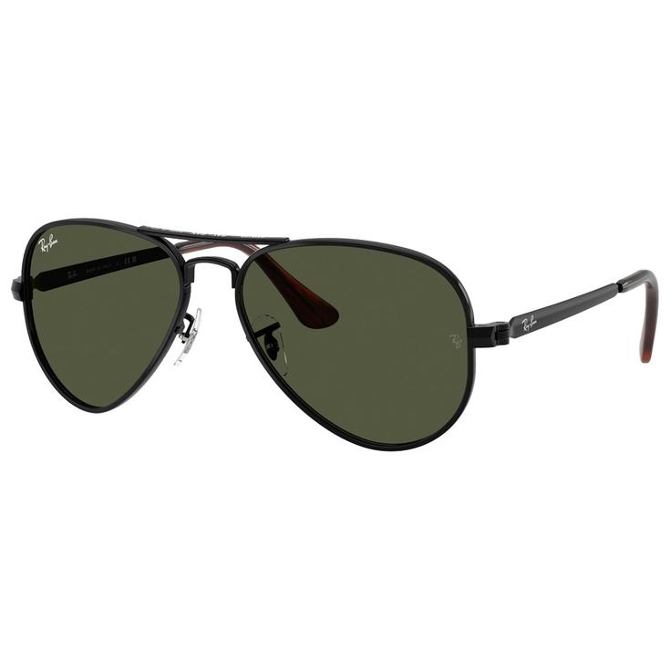 Ray Ban Sonnenbrille RB3925 Aviator Max Polished Black Green Präsentation