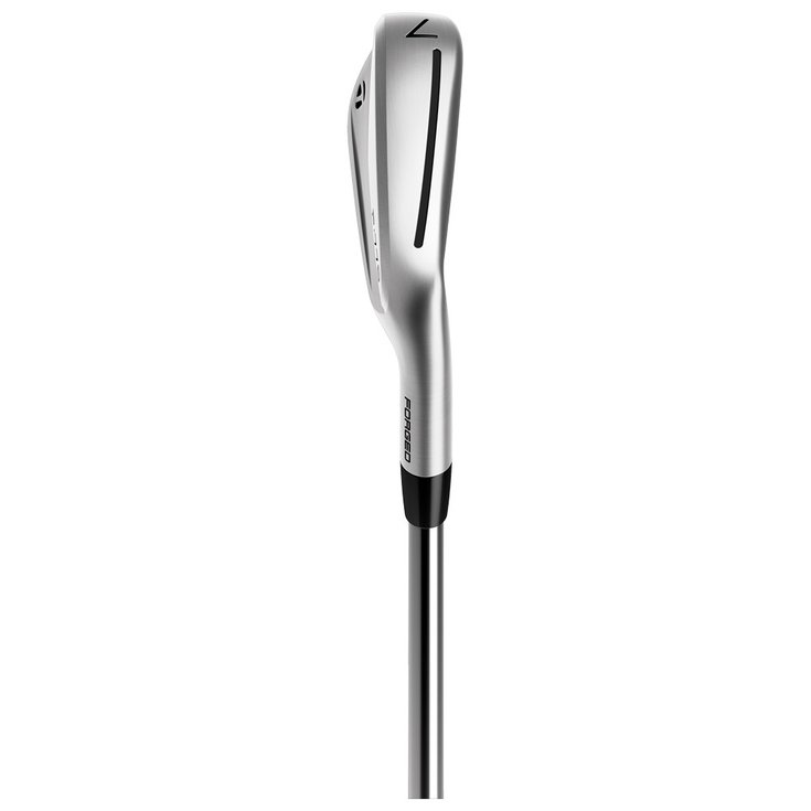 Têtes De Fers TaylorMade 2024 P770 Forgé, #6 à PW, 5 Clubs, Main Droite, Tungstène