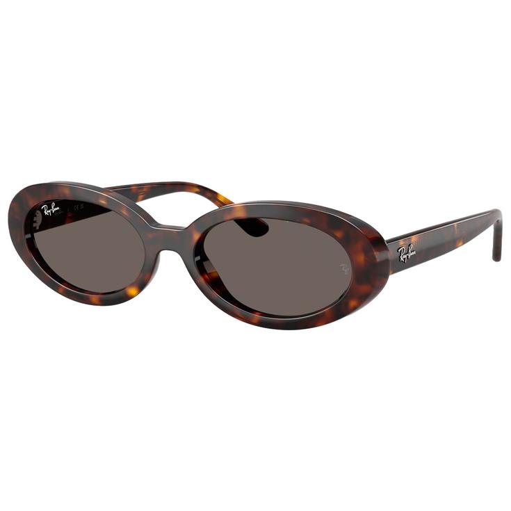 Ray Ban Lunettes de soleil RB2223 Polished Havana Dark Grey Présentation